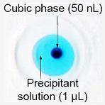 Cubic Phase.jpg